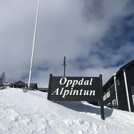 Private Apartments!oppdal Alpintun, Skisenter-stolen Апартаменты