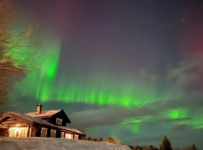 Private Apartments!oppdal Alpintun, Skisenter-stolen *