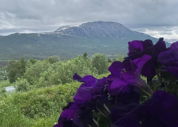 Private Apartments!oppdal Alpintun, Skisenter-stolen Oppdal