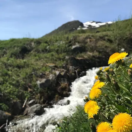 Private Apartments!oppdal Alpintun, Skisenter-stolen דירה