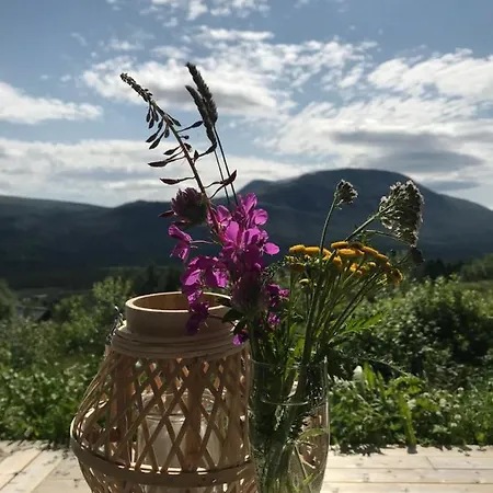 Private Apartments!oppdal Alpintun, Skisenter-stolen * אופדאל